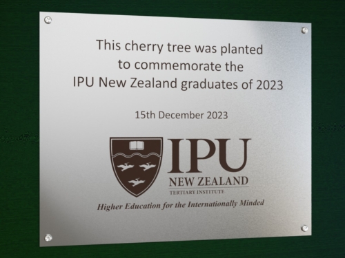 photo of IPU Graduation Cherry Tree Planting Plaque